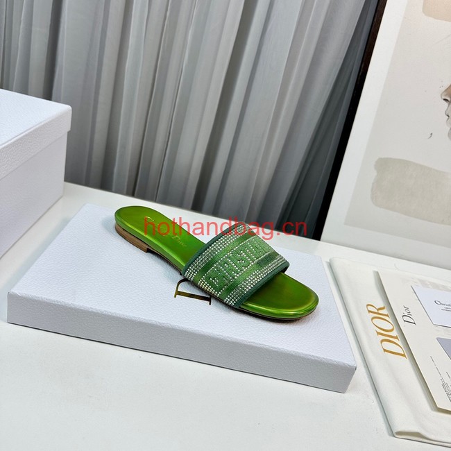 Dior DWAY SLIDE 93556-1