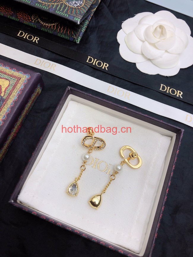 Dior Earrings CE12054