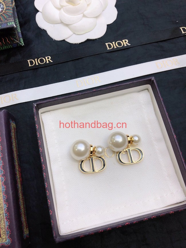 Dior Earrings CE12062