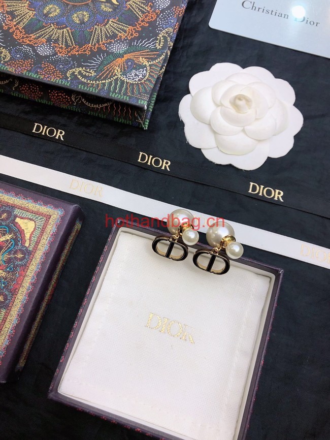 Dior Earrings CE12062