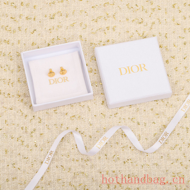 Dior Earrings CE12185