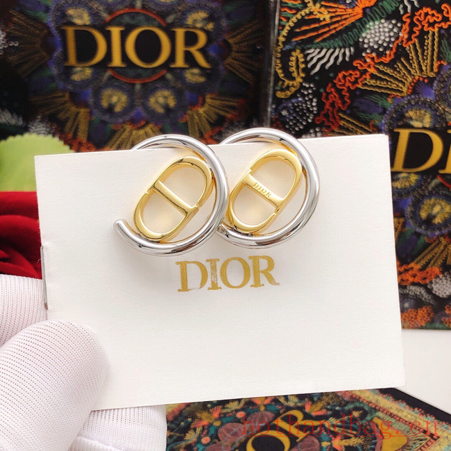 Dior Earrings CE12206