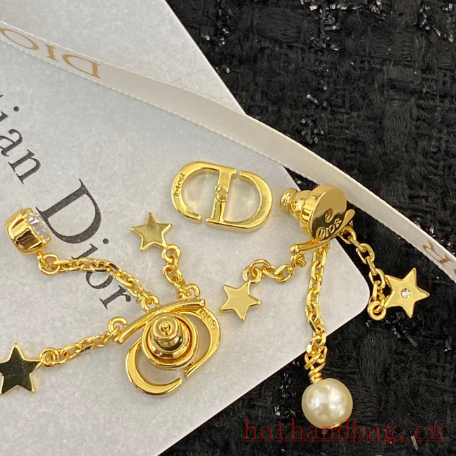 Dior Earrings CE12217