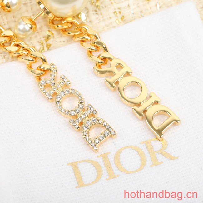 Dior Earrings CE12270