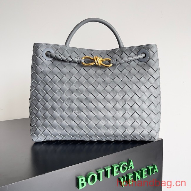 Bottega Veneta Medium Andiamo 743572 gray