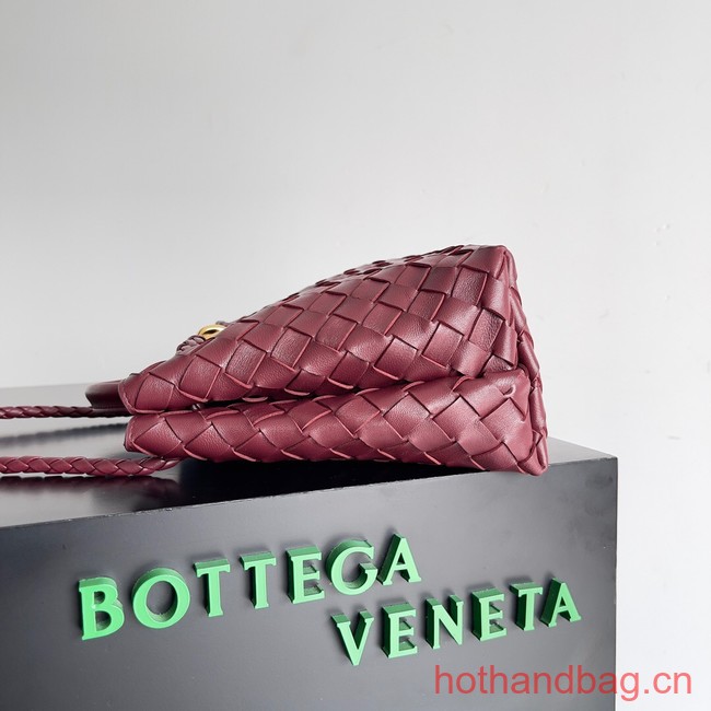 Bottega Veneta Small Andiamo 743568 Barolo