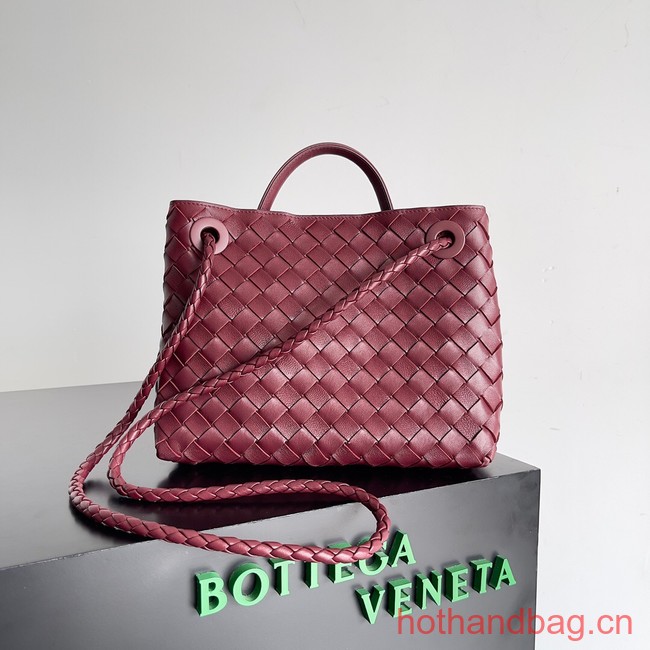 Bottega Veneta Small Andiamo 743568 Barolo