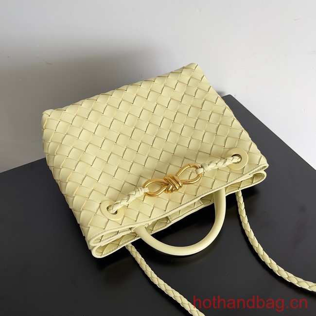 Bottega Veneta Small Andiamo 743568 Chamomile