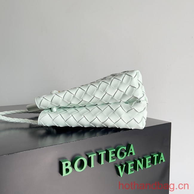 Bottega Veneta Small Andiamo 743568 Ice Green