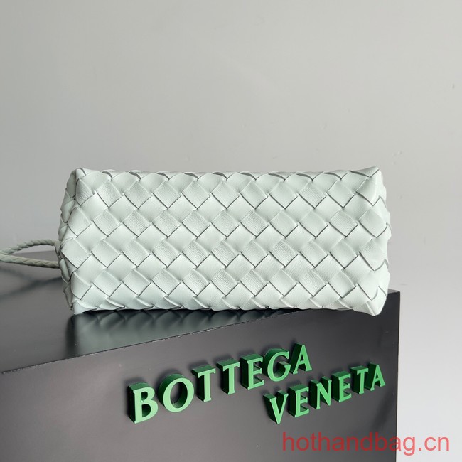 Bottega Veneta Small Andiamo 743568 Ice Green