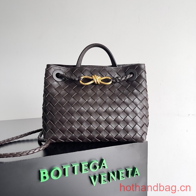 Bottega Veneta Small Andiamo 743568 Dark Brown