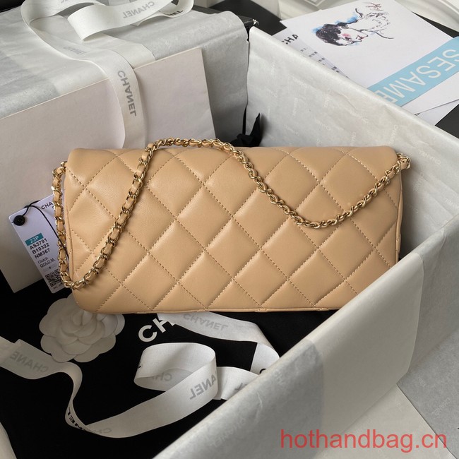 Chanel MINI FLAP BAG AS3791 Apricot