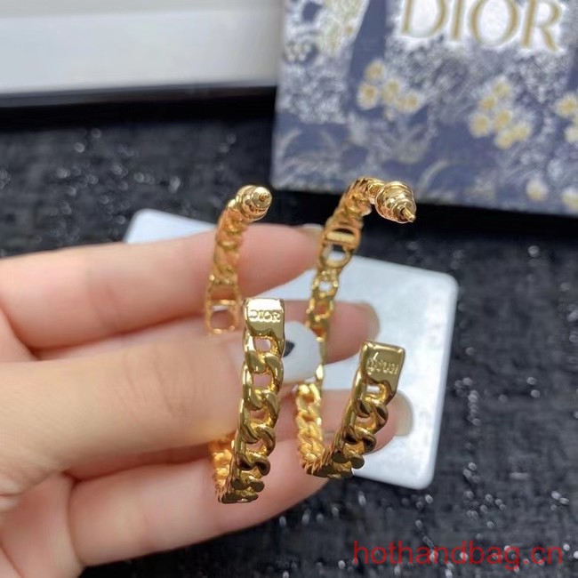 Dior Earrings CE12276