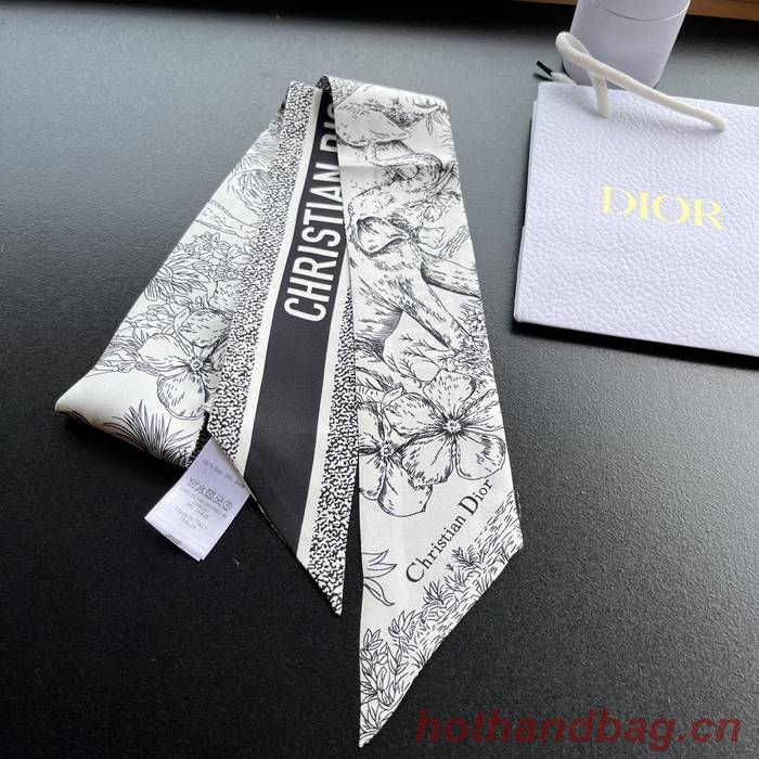 Dior Scarf DIC00152