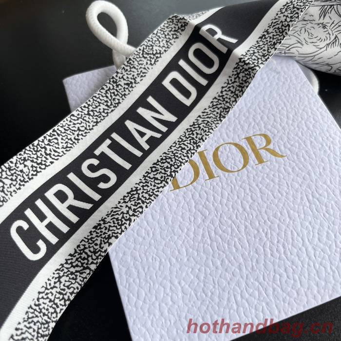 Dior Scarf DIC00152