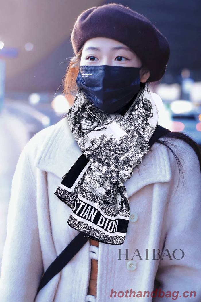 Dior Scarf DIC00162