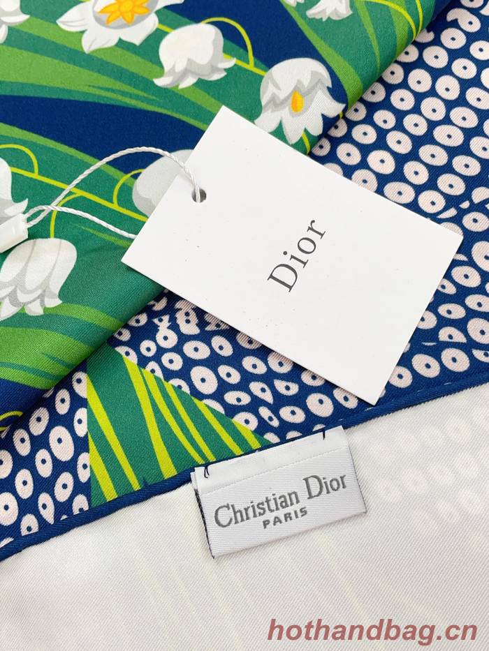 Dior Scarf DIC00170