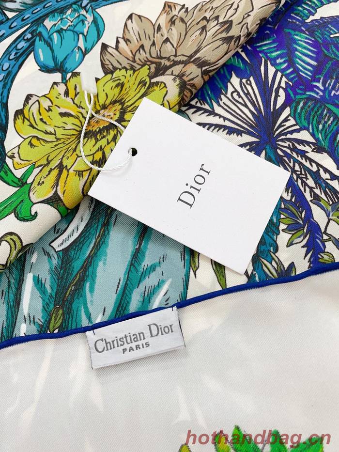 Dior Scarf DIC00175