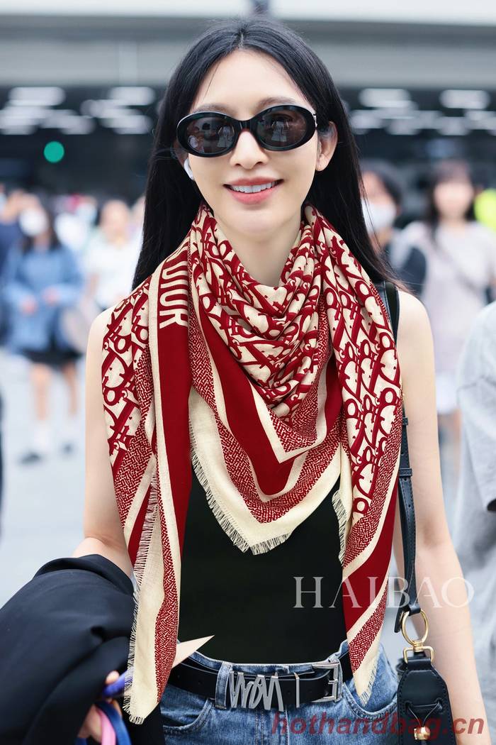 Dior Scarf DIC00206