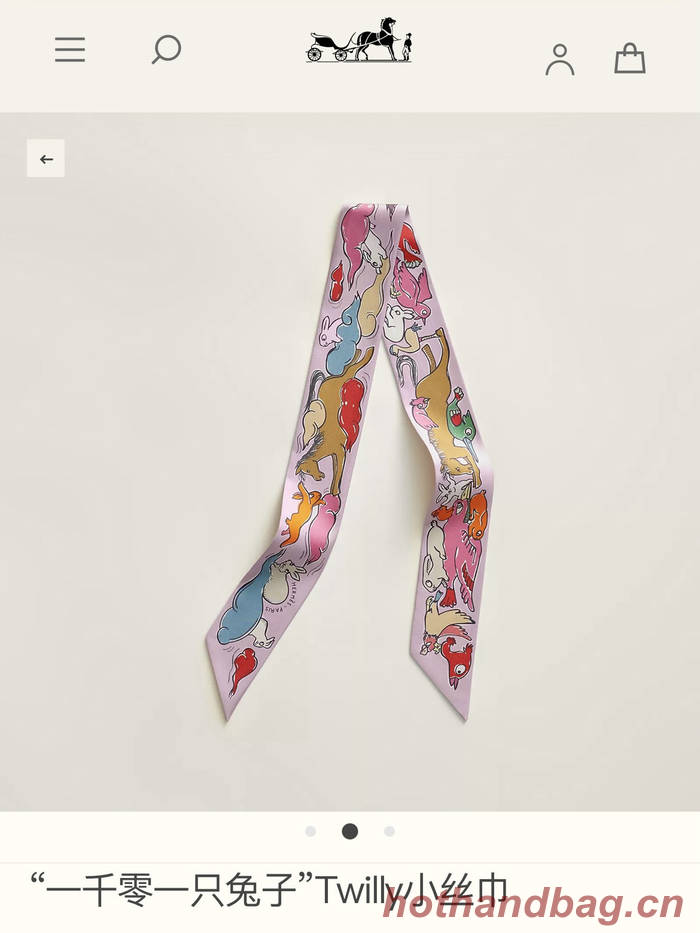 Hermes Scarf HEC00566