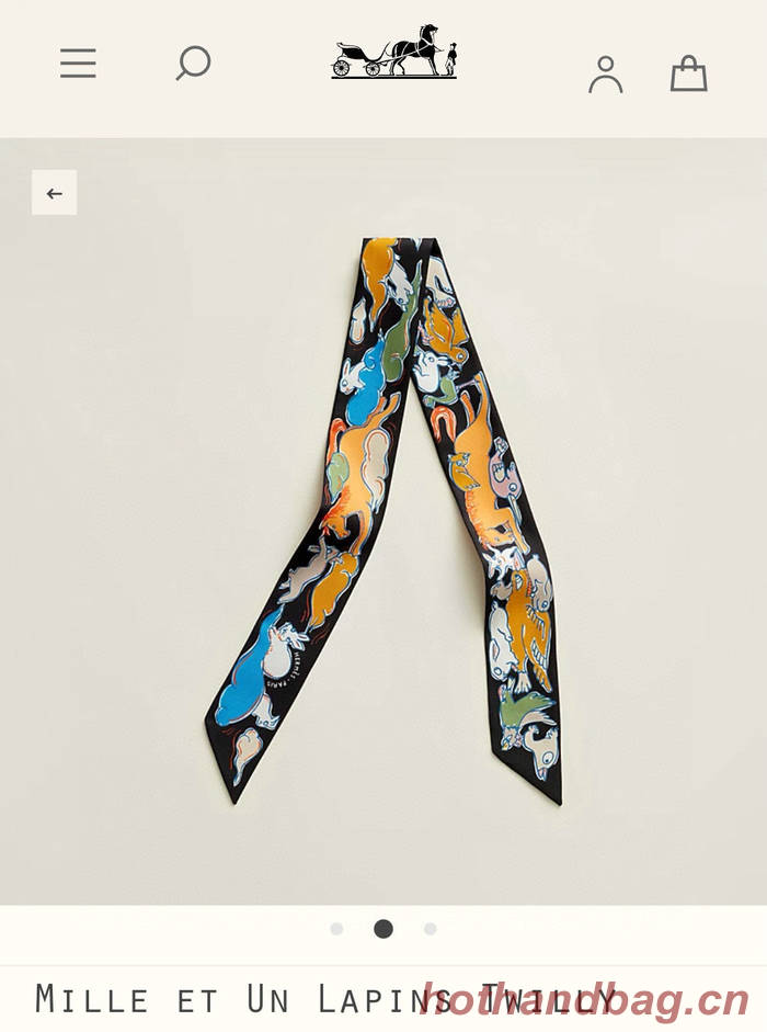 Hermes Scarf HEC00568