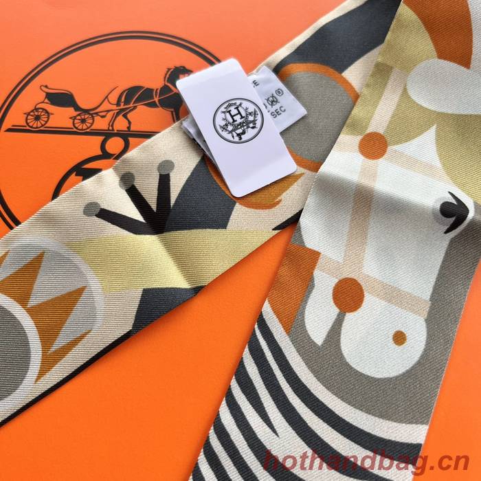 Hermes Scarf HEC00570