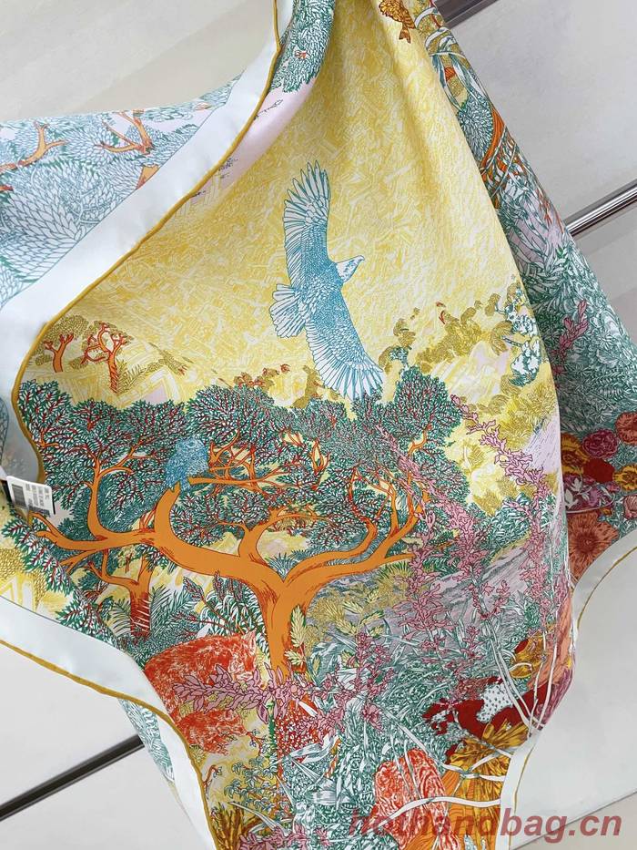 Hermes Scarf HEC00606