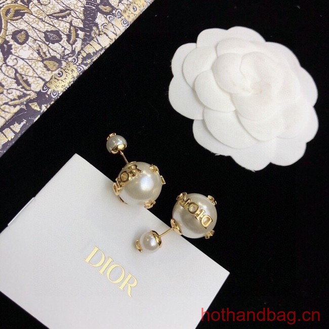 Dior Earrings CE12326