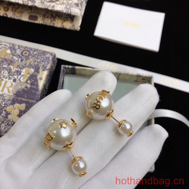 Dior Earrings CE12326