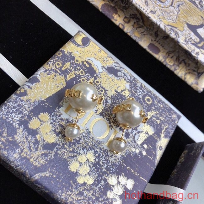 Dior Earrings CE12326