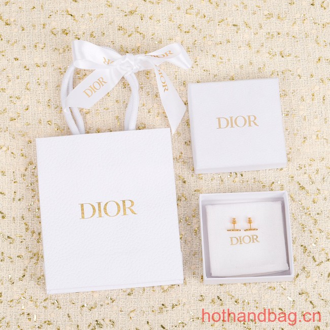 Dior Earrings CE12443