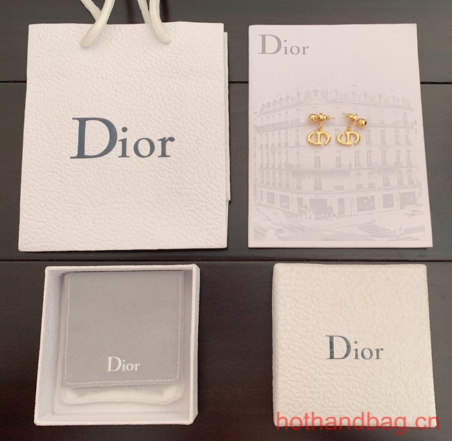 Dior Earrings CE12488