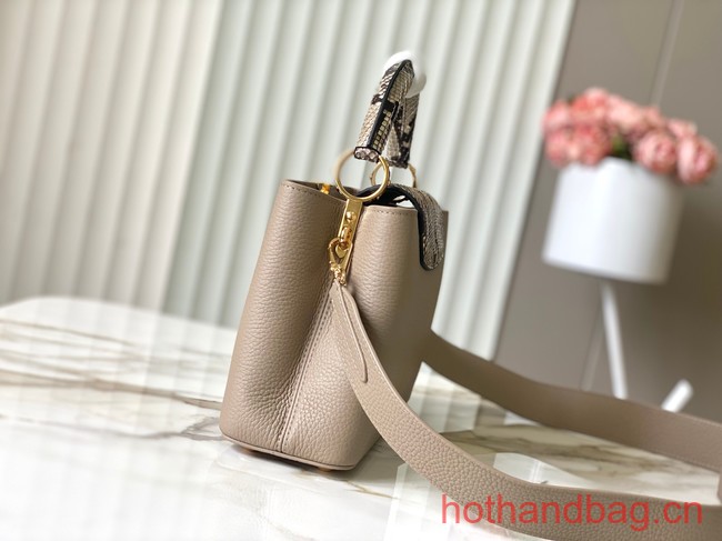 Louis Vuitton Capucines BB N48865 gray