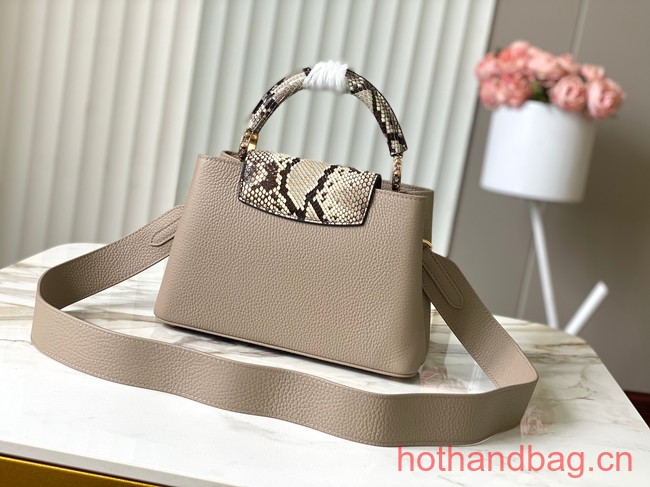 Louis Vuitton Capucines BB N48865 gray