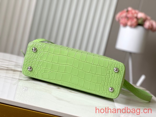 Louis Vuitton Capucines MM N93419 light green