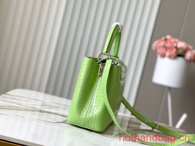 Louis Vuitton Capucines MM N93419 light green