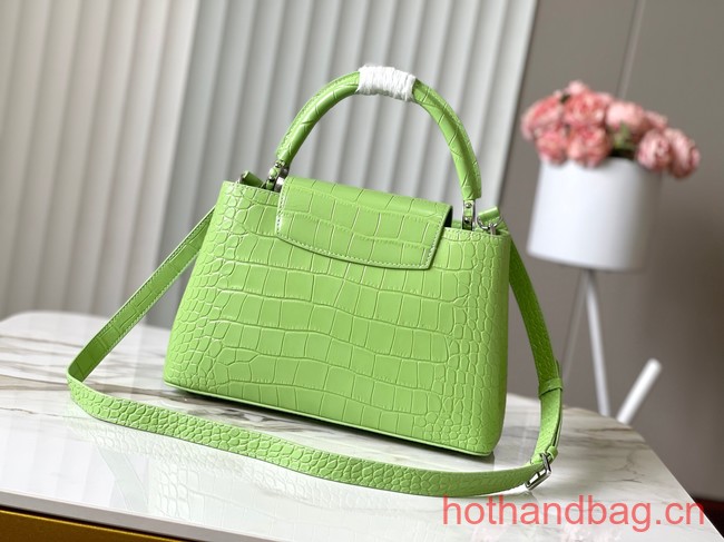 Louis Vuitton Capucines MM N93419 light green