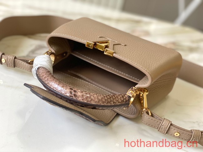 Louis Vuitton Capucines Mini N81209 gray