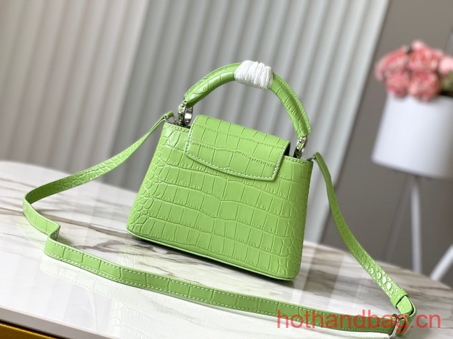 Louis Vuitton Capucines Mini N81209 light green