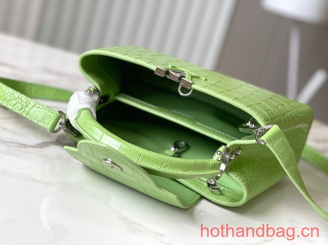 Louis Vuitton Crocodile Capucines BB N48865 light green