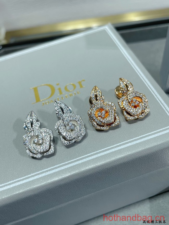 Dior Earrings CE12547