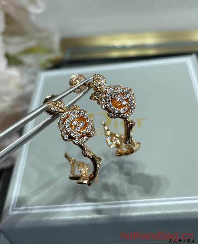 Dior Earrings CE12548