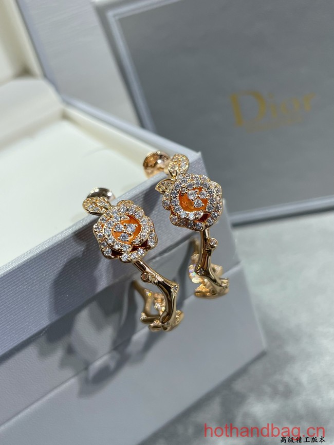 Dior Earrings CE12548