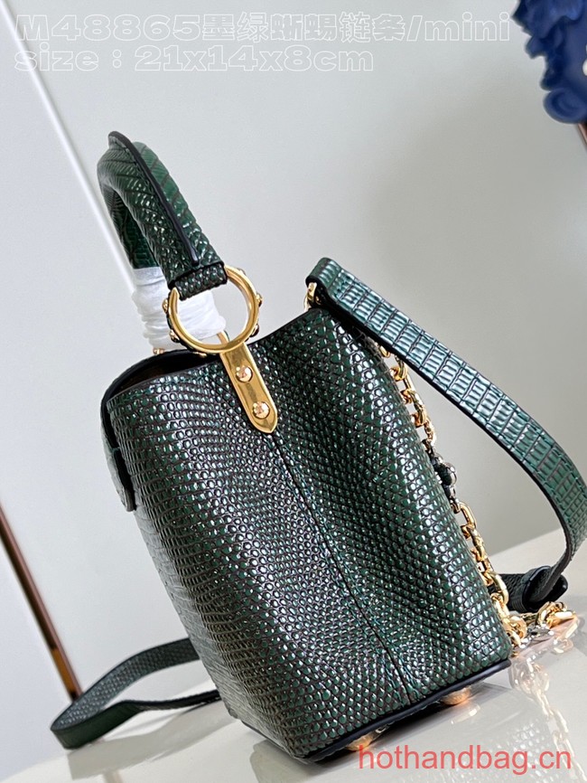 Louis Vuitton Capucines Mini Lizard print N81209 Dark Green