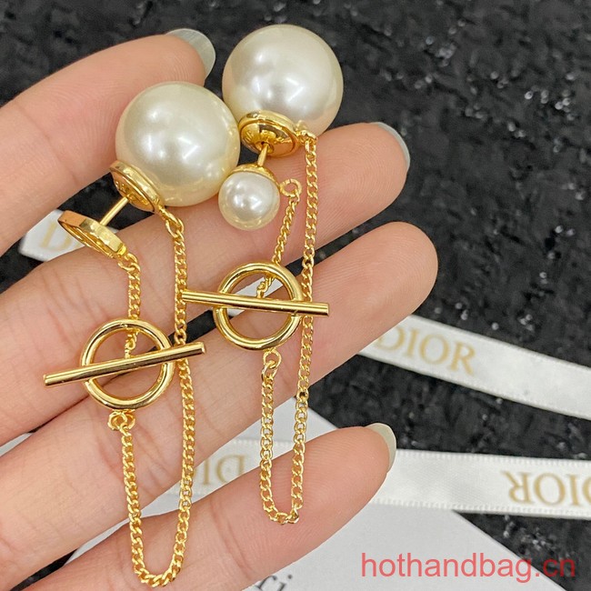 Dior Earrings CE12696