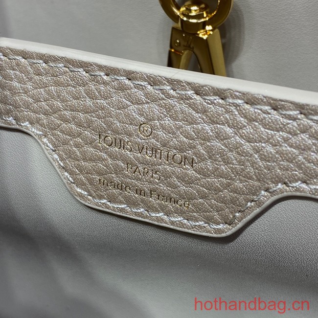 Louis Vuitton CAPUCINES BB N93164 gray