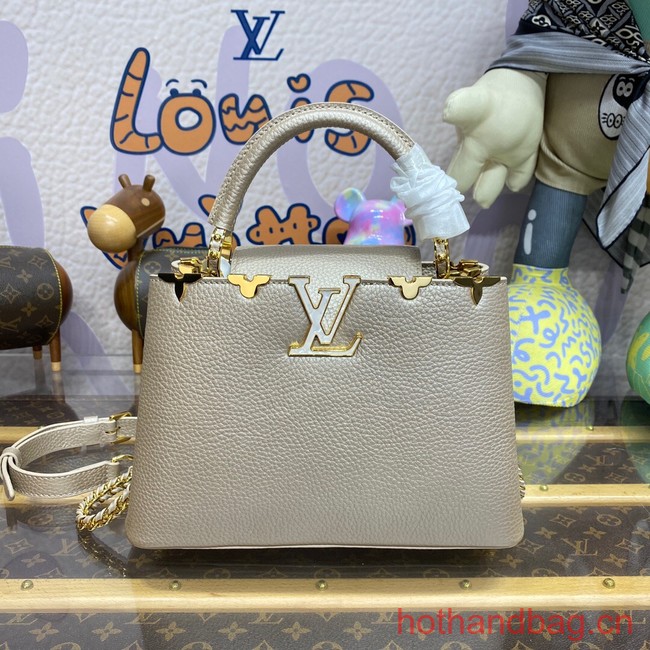 Louis Vuitton CAPUCINES BB N93164 gray