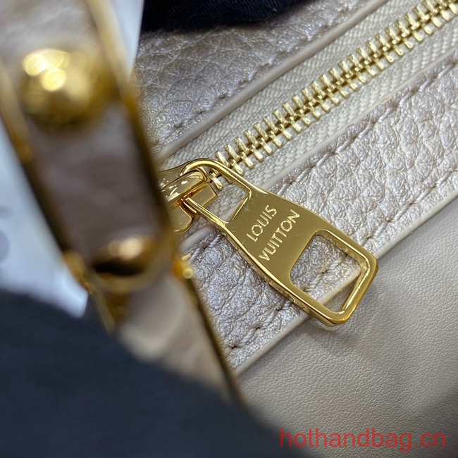 Louis Vuitton CAPUCINES BB N93164 gray