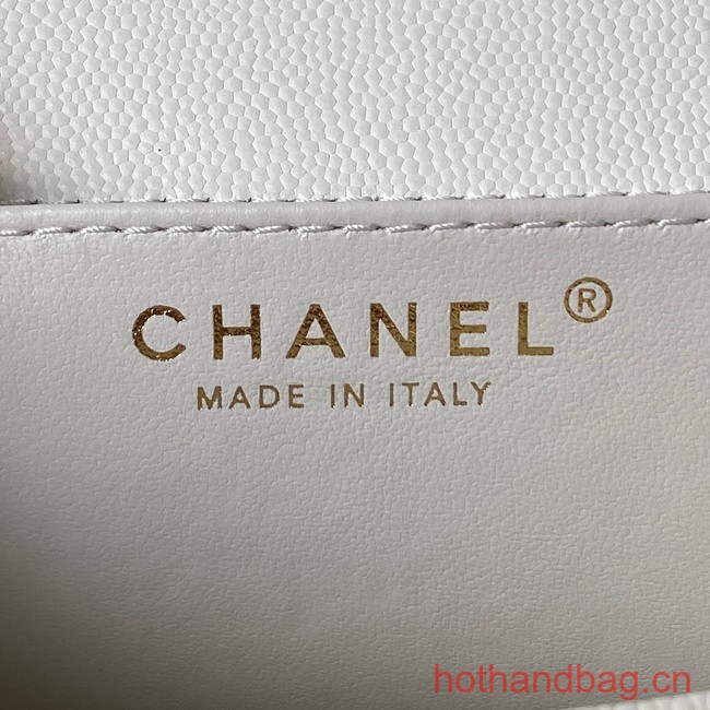 Chanel SMALL FLAP BAG AS4489 white