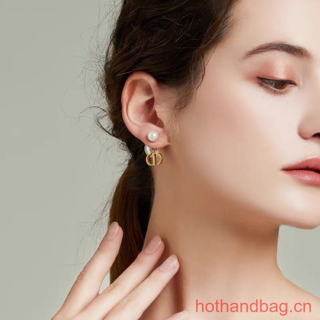 Dior Earrings CE12829